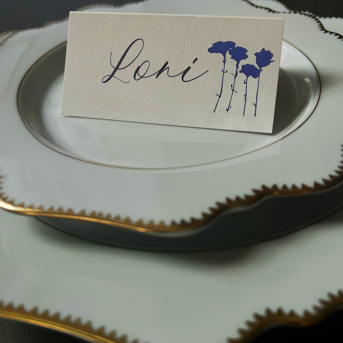 Loni Place Cards (Sets of 12, 24) NSFW