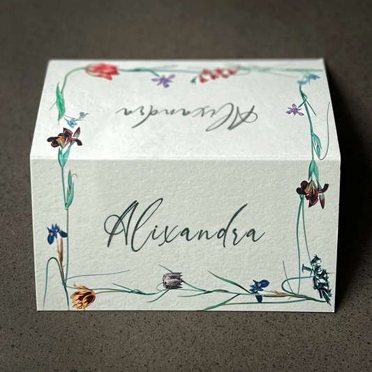Alixandra Place Cards (Sets of 12, 24)